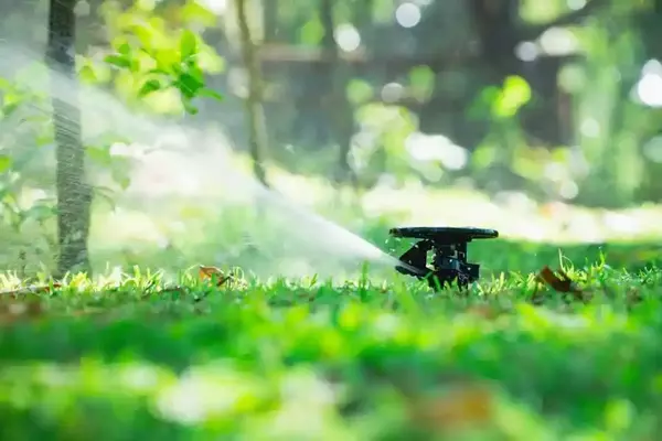 Cortez Landscaping's Other Services Cortez Landscaping's Other Services
