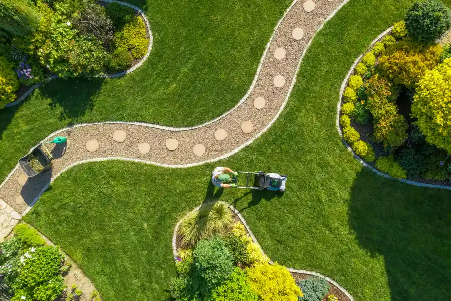 Reliable Landscape Services Reliable Landscape Services