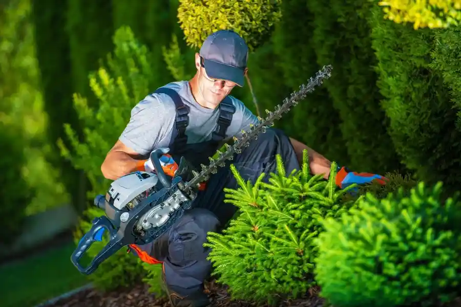 Trusted Landscaping Company Trusted Landscaping Company